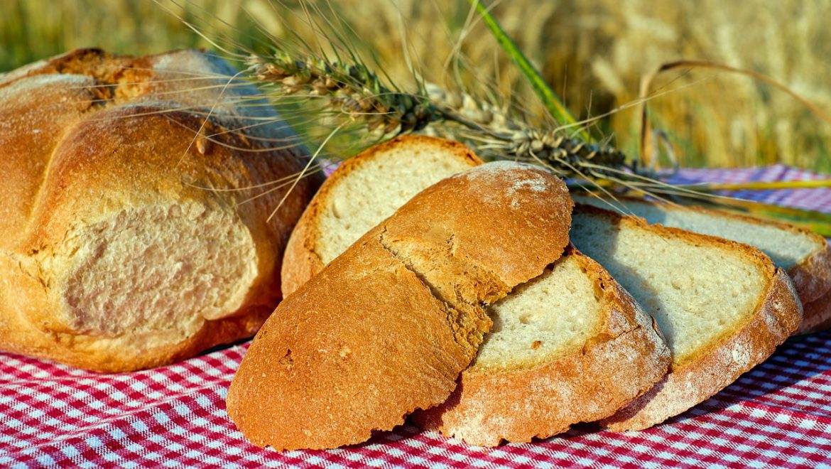 Bread from the Earth: Food Justice Ceremony